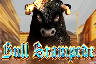 Bull Stampede